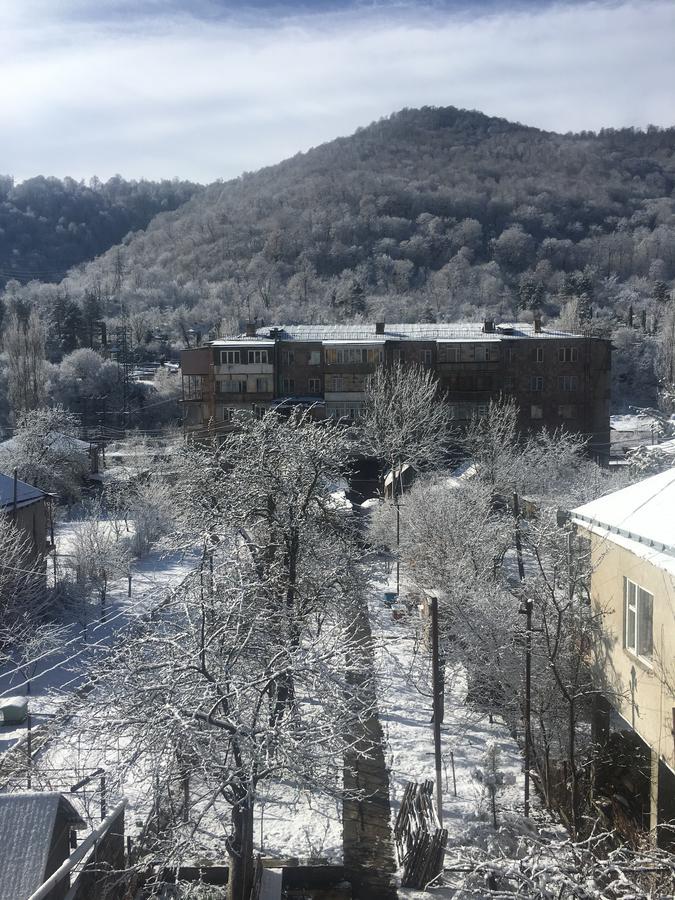 Areguni Guest House Dilidzjan Buitenkant foto